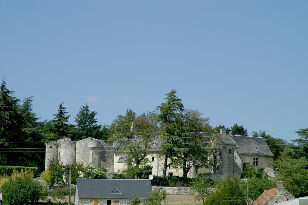Chateau De La Roche Martel Bed and Breakfast Roiffé Buitenkant foto