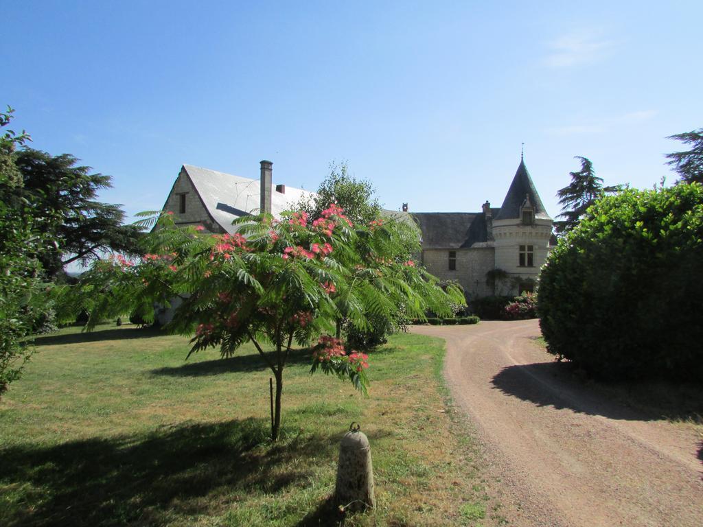 Chateau De La Roche Martel Bed and Breakfast Roiffé Buitenkant foto